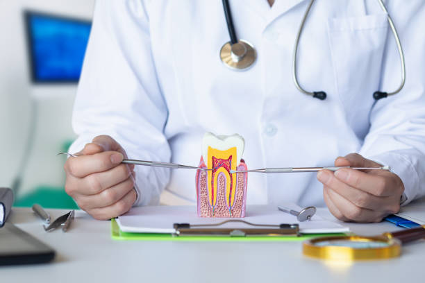 Urgent Tooth Repair in MN